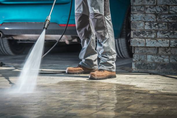 Best Soft Washing  in Forest Hills, MI