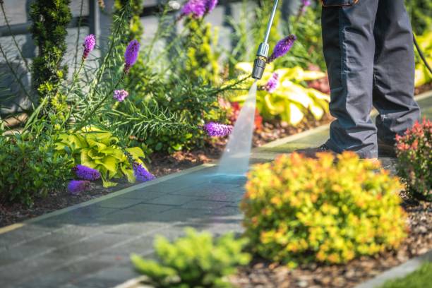 Best Pre-Holiday Cleaning  in Forest Hills, MI
