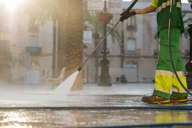Best Driveway Pressure Washing  in Forest Hills, MI